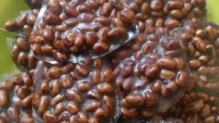 Halua, Camilan Tradisional Khas Kaili