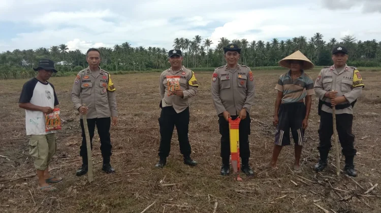 Dukung Ketahanan Pangan, Polsubsektor Mepanga Dampingi Tanam Jagung