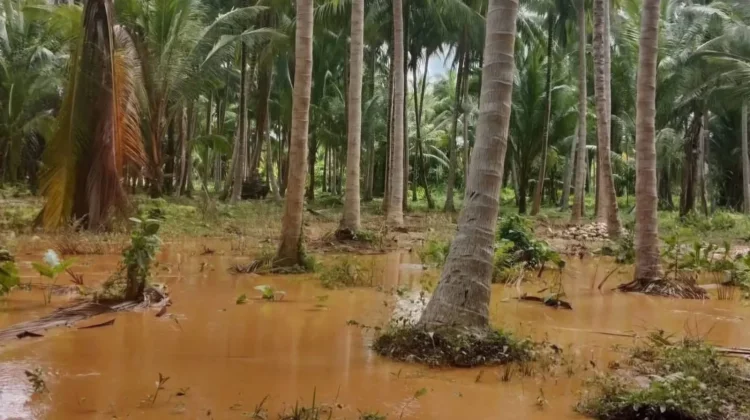 Tiga Tanggul di Desa Salepae Jebol dan Akses Jalan Terputus Diterjang Banjir