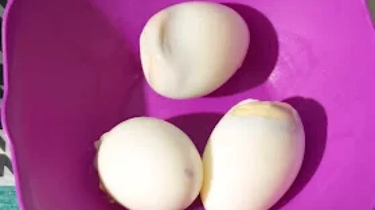 Beragam Manfaat dari Telur Rebus