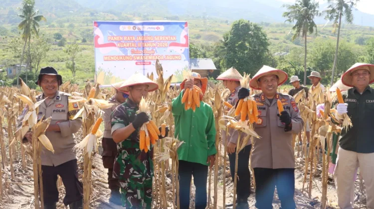 Polresta Palu Laksanakan Panen Jagung di Lahan Binaan Kelurahan Duyu