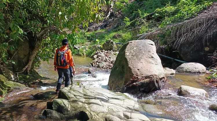 Lansia 80 Tahun Hilang di Kebun Donggala, Tim SAR Gabungan Gelar Pencarian