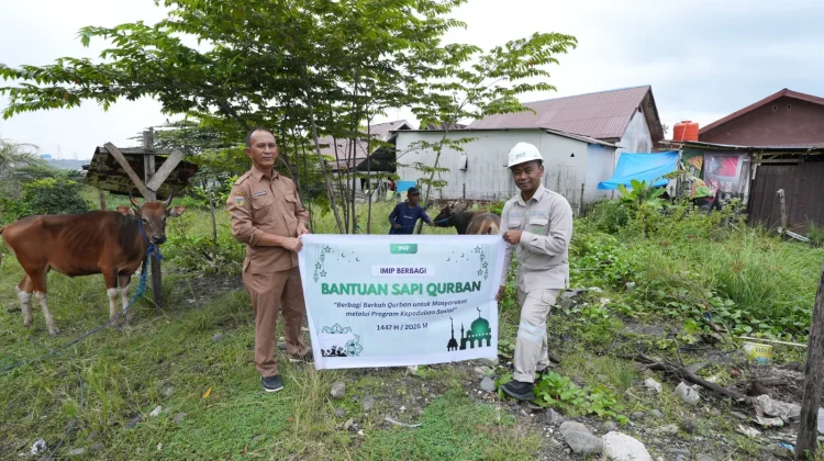 PT IMIP Salurkan 22 Ekor Sapi Kurban di Morowali jelang Idul Adha 1447 H