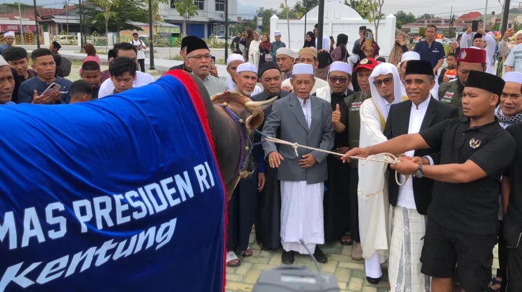 Pemprov Sulteng Salurkan 127 Ekor Hewan Kurban pada Idul Adha 1447 H