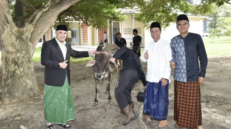 Idul Adha 1447 H, Untad Sembelih 85 Sapi dan 5 Kambing