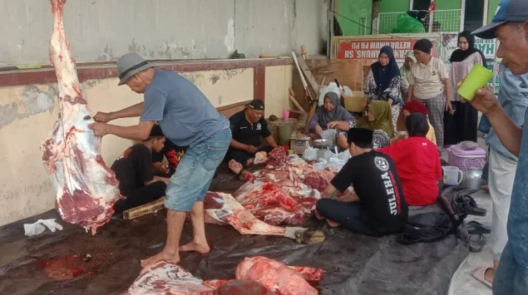 Masjid Agung Baiturrahim Lolu Palu Sembelih Enam Ekor Sapi
