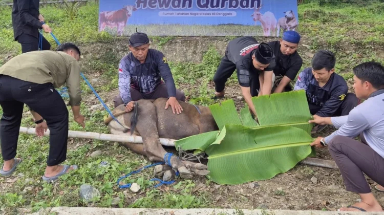 Idul Adha, Rutan Donggala Salurkan Daging Kurban untuk WBP dan Warga Sekitar