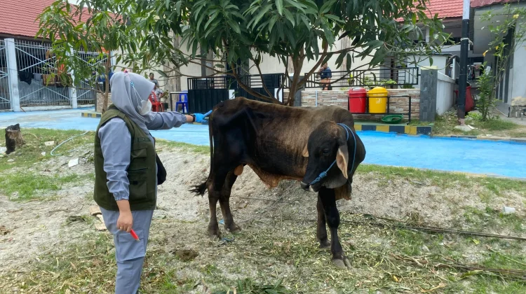 Lapas Palu Salurkan 759 Paket Hewan Kurban Kepada Wabin dan Masyarakat
