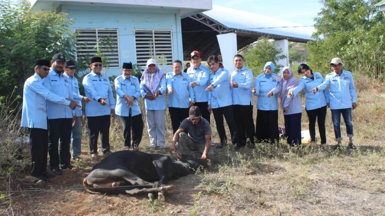 FKUB Sulteng Tebar Kurban untuk Masyarakat Lintas Agama