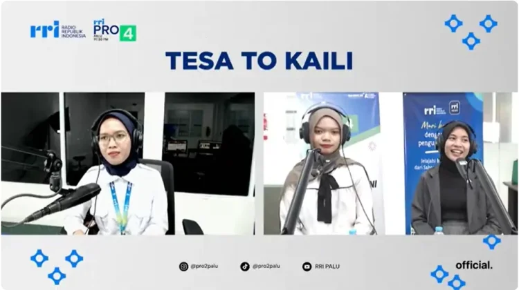 Media Sosial Jadi Peluang dan Tantangan bagi Perempuan di Era Digital
