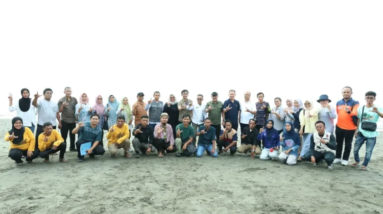 Donggala Perkuat Konservasi Pesisir lewat Aksi Pelepasan Tukik