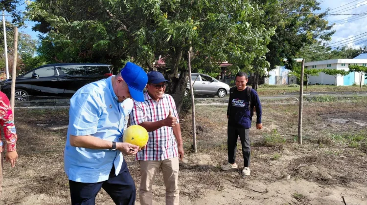 Wujudkan Kampus Berdampak, Untad Kembangkan Tekhnologi Pertanian di Kampus