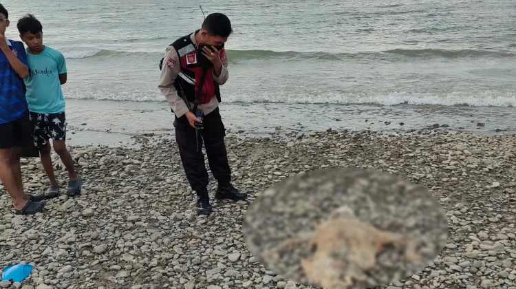 Jasad tanpa Identitas Ditemukan di Pesisir Pantai Talise