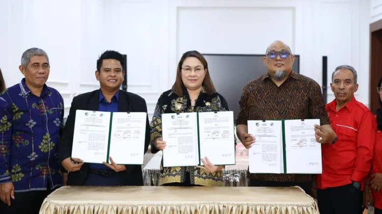 Pemkab Donggala Perluas Akses KUR untuk Dorong Produktivitas Petani Jagung