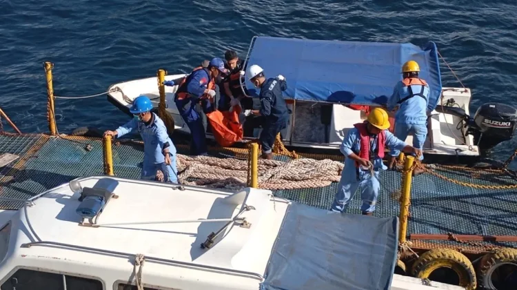 Polsek Bahodopi Selidiki Penyebab Kematian Korban Hanyut di Morowali