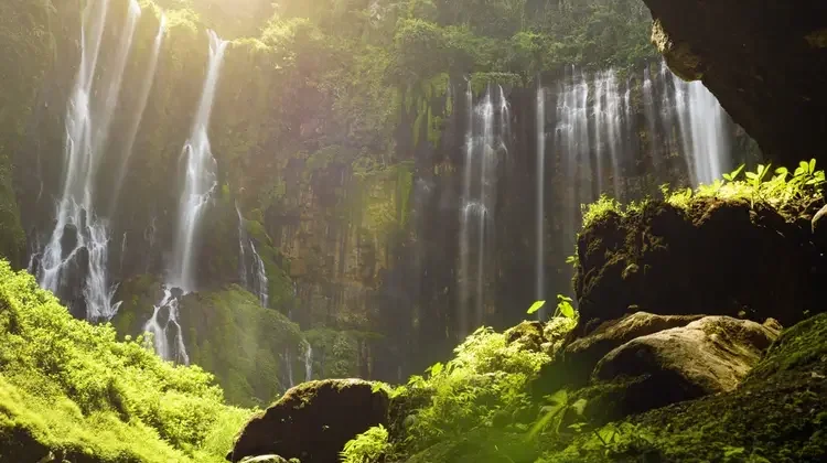 Air Terjun Wera, Pesona Alam yang Menyejukkan di Kaki Pegunungan Sigi
