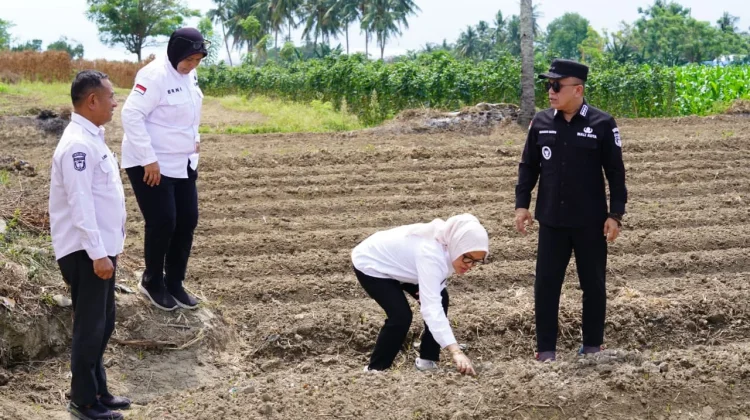 Pemkot Palu Dorong Program Kelurahan Menanam Jadi Penggerak Ekonomi Masyarakat