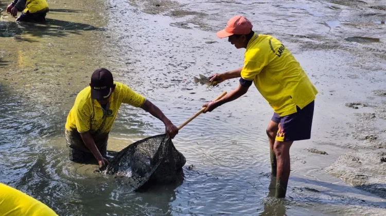 Lapas Parigi Panen 53 Kilogram Ikan Dukung Ketahanan Pangan