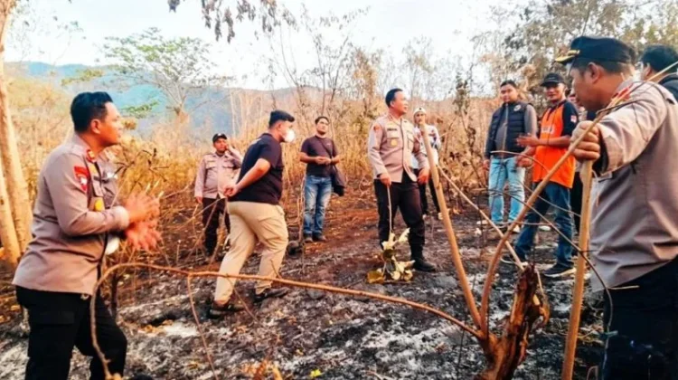Kapolresta Banggai Pimpin Pemadaman Karhutla di Pegunungan Batu Hitam