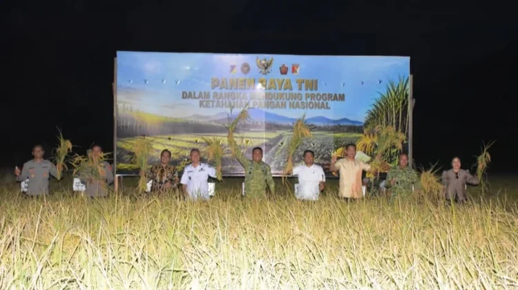 Dukung Kemandirian Pangan, Pangdam dan Danrem Ikuti Panen Raya TNI di Sigi