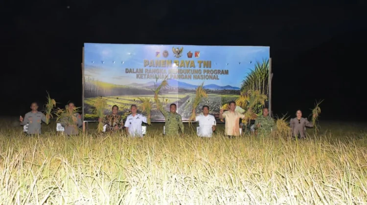 Pangdam 23 Palakawira Panen Raya di Sigi Dukung Ketahanan Pangan Nasional