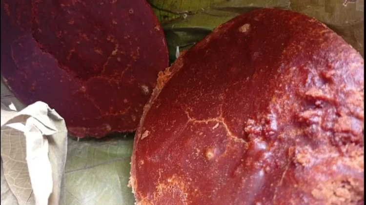 Gula Aren, Pemanis Alami dengan Ragam Manfaat