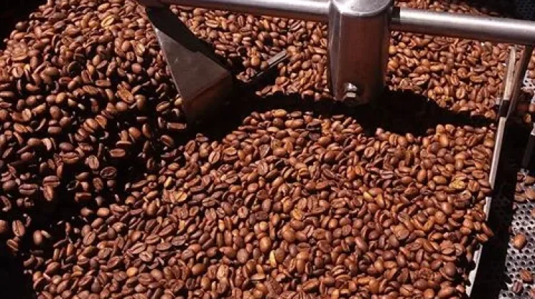 Kopi Lokal Sulawesi Tawarkan Cita Rasa Istimewa