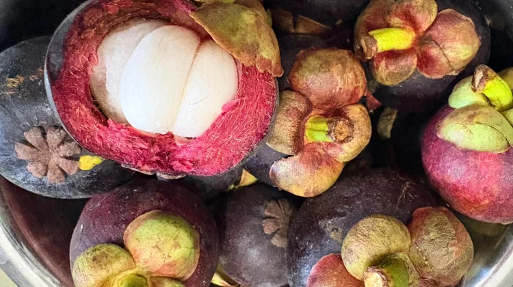 Xanthone pada Manggis Bantu Lawan Radikal Bebas
