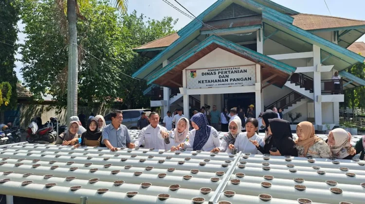 Pelatihan Budidaya Hidroganik Dorong Perkembangan Pertanian Modern di Kota Palu