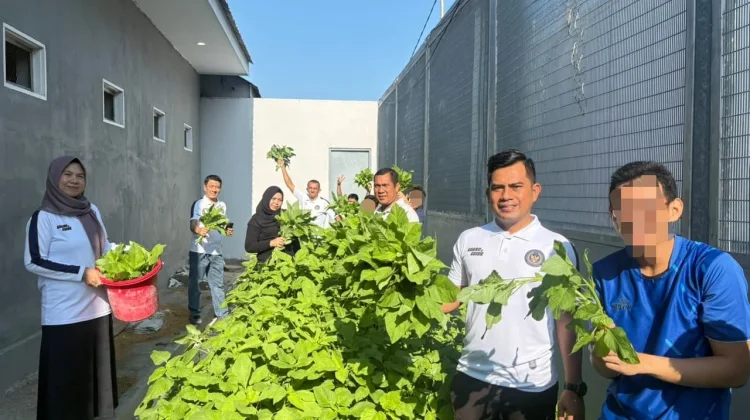 LPKA Palu Sukses Gelar Panen Perdana 10 Kilogram Bayam Hasil Pembinaan