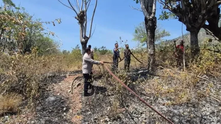 Sinergi Tiga Pilar dan Damkar Berhasil Cegah Meluasnya Kebakaran Lahan di Buluri
