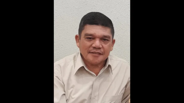 P4S Maju Jaya Sigi Dorong Generasi Muda Jadi Petani Milenial