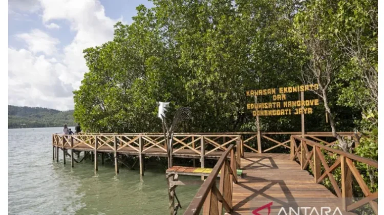 Wisata Mangrove Hadirkan Pesona Pesisir Sulteng