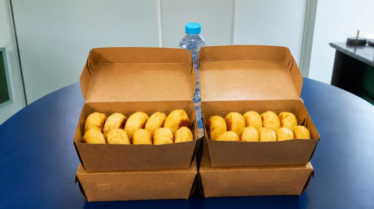 Bakpia dan Perjalanan Kulinernya di Indonesia