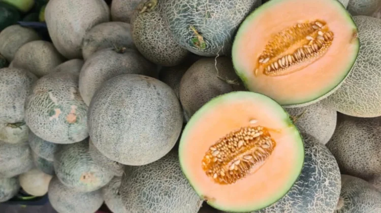 Buah-Buahan Segar Menjamur di Kota Palu