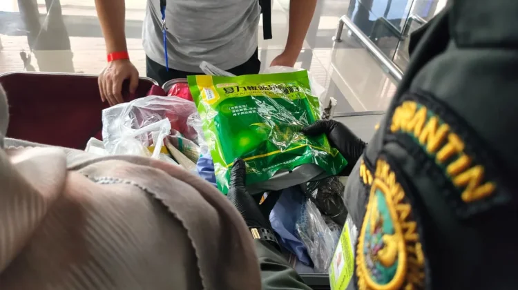 Penerbangan Internasional Dibuka, Karantina Perketat Pengawasan di Bandara