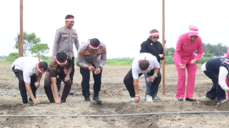 Tanam Bawang Putih di Palasa, Polres Parimo Pastikan Terus Kawal Ketahanan Pangan