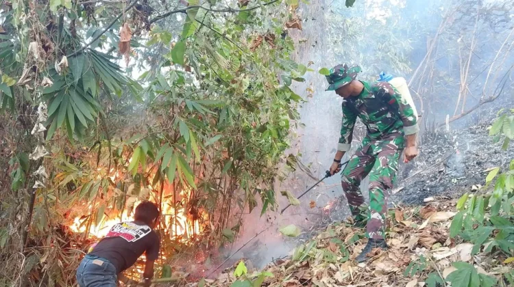 Kodam XXIII/Palaka Wira Bantu Padamkan Karhutla di Donggala