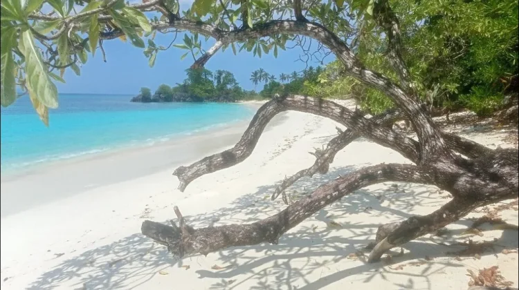 Pantai Oyama Tawarkan Pesona Bahari Banggai Laut