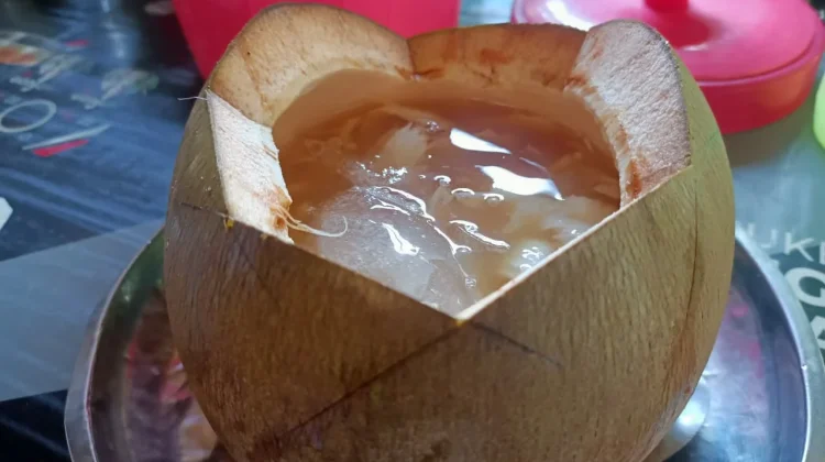 Air Kelapa Muda Pelepas Dahaga di tengah Kemarau