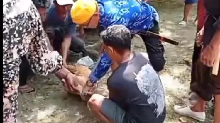 Ritual Mora’a Binangga Paneki Jadi Sarana Pulihkan Hubungan Sosial