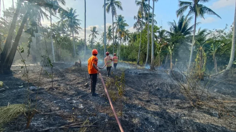 BPBD Donggala Imbau Warga Waspadai Karhutla saat Musim Kemarau