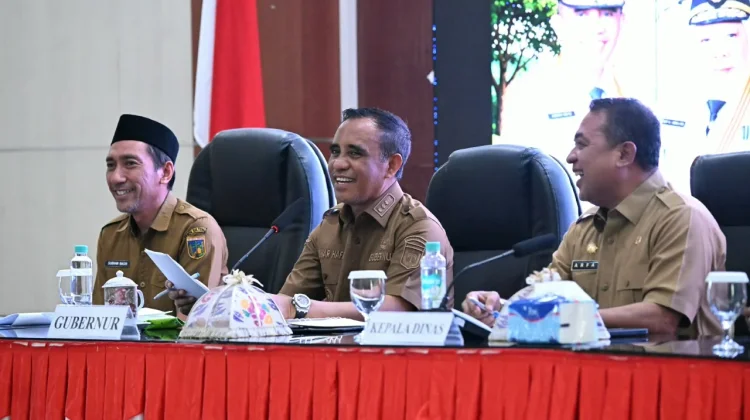 Gubernur Minta Camat dan Kades Petakan Wilayah Belum Teraliri Listrik