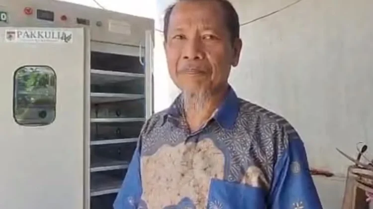 Miliki Potensi Pangan, Tanaman Kelor Diolah jadi Produk Bernilai Ekonomi Tinggi