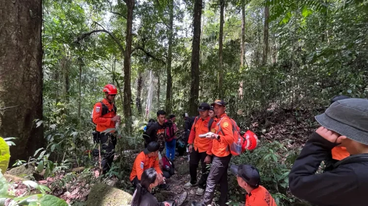 Tim SAR Palu Evakuasi 7 Pendaki Kehabisan Logistik di Gunung Nokilalaki