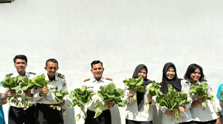 LPKA Palu Panen Sayuran Sawi Hasil Pemanfaatan Lahan Terbatas