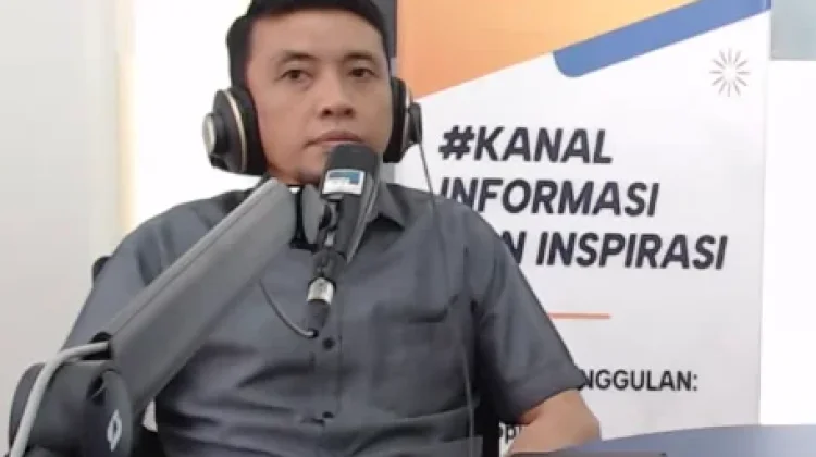Akademisi Soroti Penggunaan PayLater di tengah Tren Belanja Online