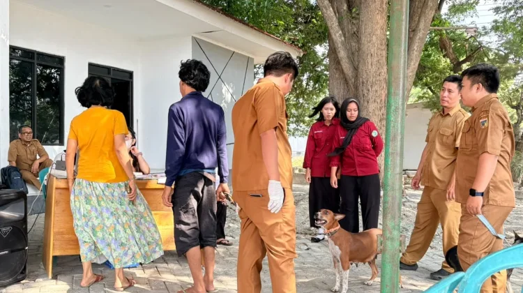 Dinas Peternakan Vaksinasi Hewan saat World Rabies Day