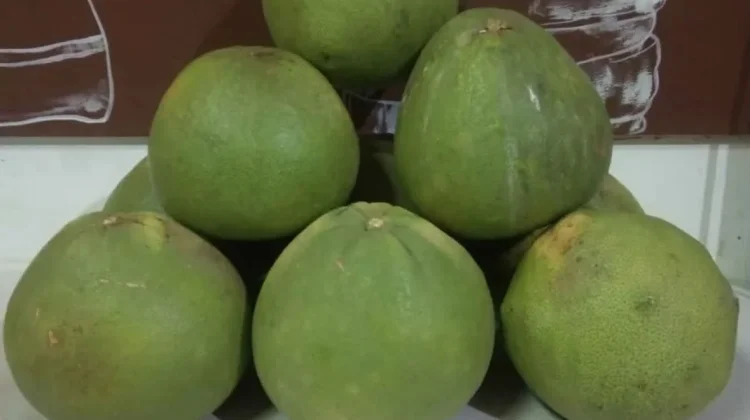 Jeruk Bali, Segarkan Tubuh dengan Kandungan Vitamin