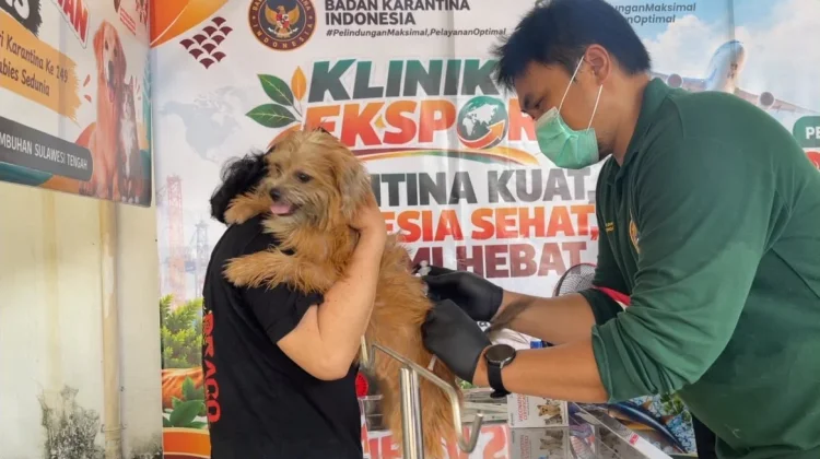 Barantin Sulteng Cegah Rabies melalui Vaksinasi Hewan Peliharaan
